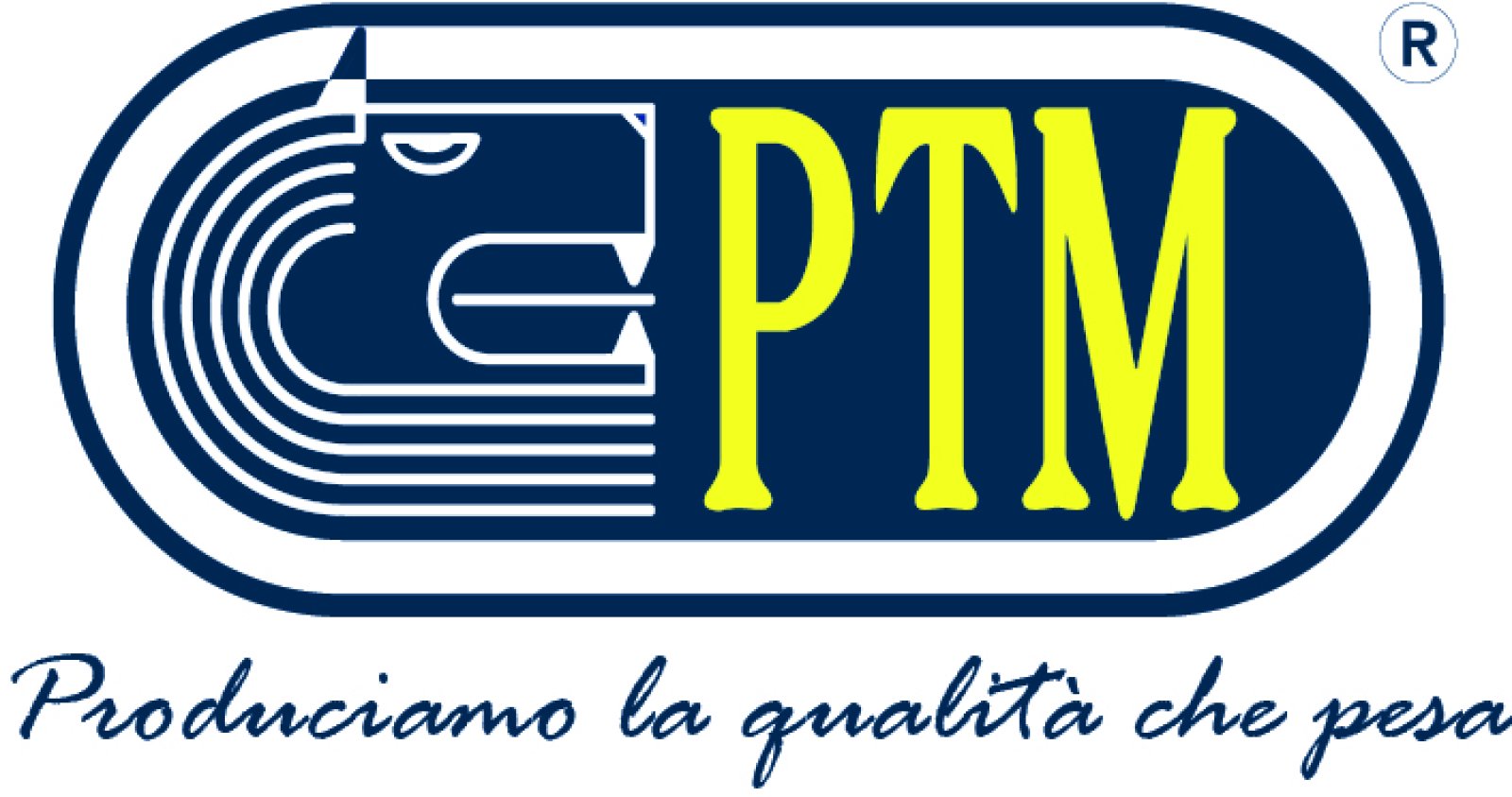 Logo PTM srl