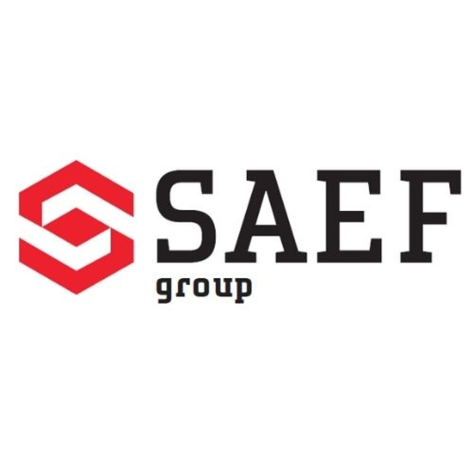 Logo Gruppo SAEF